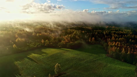 Stunning-aerial-cinematic-shot-nature-fields-and-forest-with-clouds