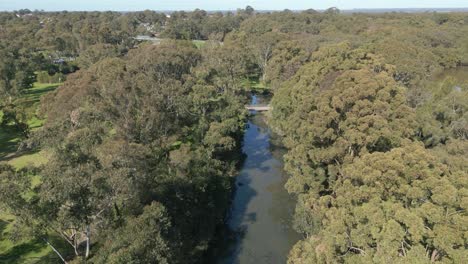 Aerial-establishing-shot-of-a-small-river-canal-or-creek-in-a-wetland-and-forest-at-a-national-park-at-Western-Sydney