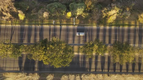 Top-down-aerial-view-of-cars-on-boulevard-during-sunset