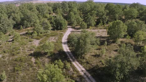 Aerial-of-empty-dirt-road-in-a-dense-green-forest-on-hot-sunny-day