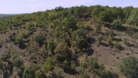 Antena-De-Bosque-Montañoso-Rural-Cubierto-De-Arbustos-Y-Terreno-Seco-En-Un-Día-Soleado