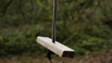 A-Block-Of-Wood-Swing-Hanging-On-The-Forest-Trees-In-Shallow-Depth-Of-Field
