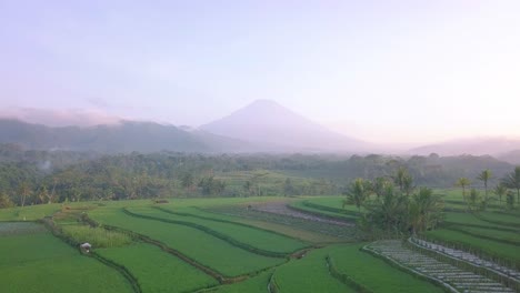Luftvorwärtsflug-über-Landwirtschaftliche-Reisfelder-Mit-Exotischer-Landschaft-Und-Nebligen-Bergen-Im-Hintergrund---Schöner-Morgen-In-Zentral-Java,-Indonesien