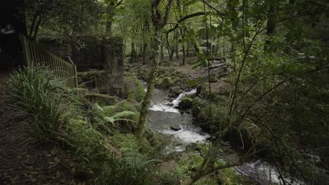 Stream-Flowing-In-Kennall-Vale-Woodland-Near-Ponsanooth,-Cornwall,-England