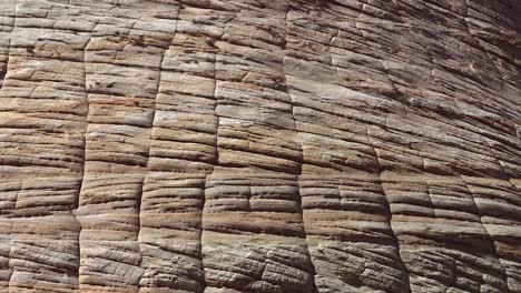 Sandstone-Erosion-Cracks-On-Rocky-Formation-In-Arid-Zion-National-Park