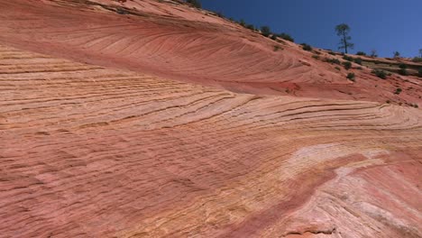 Sandsteinerosionsmuster-Entlang-Des-Canyongrats-Im-Zion-nationalpark