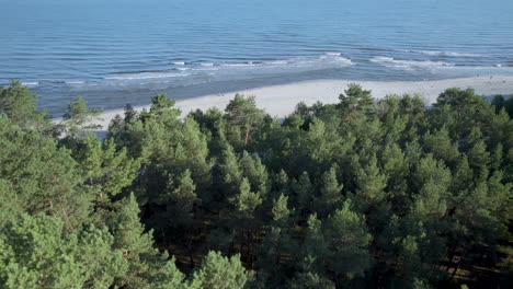 Aerial-approaching-shot-of-beach-and-Baltic-Sea-in-Poland-during-sunny-day---Flyover-forest-trees-on-island