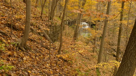 The-landscape-of-autumn-forest-and-mountain-creek