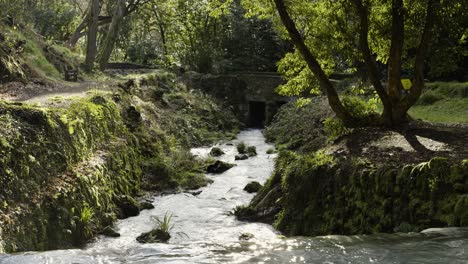 Panorama-Of-Narrow-Stream-Flowing-Into-The-Forest-During-Summer-In-St-Stephen,-Cornwall