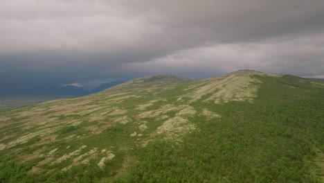 Aerial-riser-reveals-forested-wilderness-of-Dovrefjell-mountain-range,-Norway