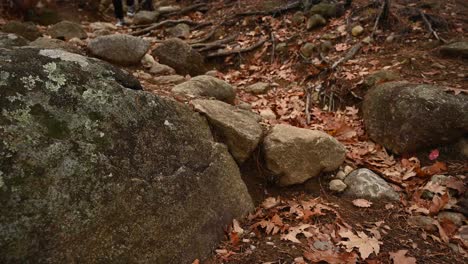 Woman-is-hiking-in-the-forest-during-autumn,-crossing-over-rocks-and-stones