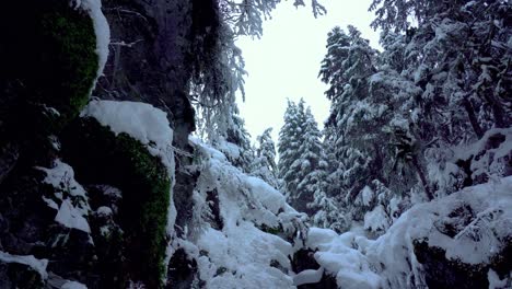 Friedlicher-Schnee,-Der-In-Den-Wald-Entlang-Eines-Pfades-In-Alaska-Fällt