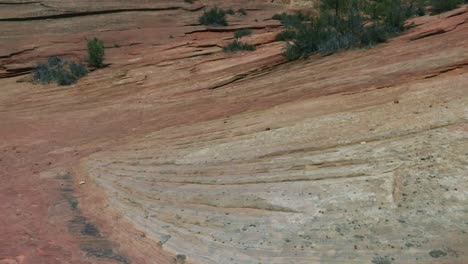 Desolado-Paisaje-árido-Y-Erosionado-Del-Cañón-En-El-Parque-Nacional-Zion,-Utah