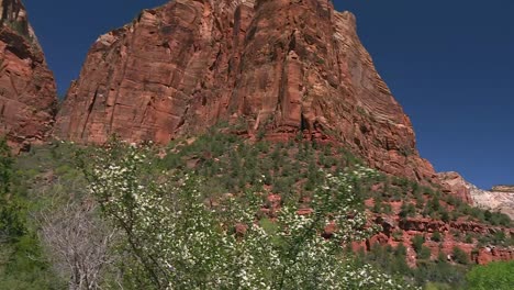 Steep-Arid-Rocky-Mountain-And-Scarce-Vegetation-In-Zion-National-Park