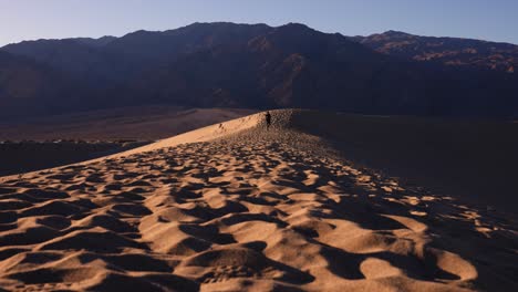 Erwachsenes-Männchen,-Das-An-Einem-Sonnigen-Tag-Mit-Einem-Großen-Berg-Im-Hintergrund-Auf-Einer-Sanddüne-Im-Death-Valley-National-Park-In-Kalifornien-In-Zeitlupe-Auf-Die-Kamera-Zuläuft
