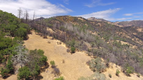 Aerial-view-passing-burned-forest-trees-on-rugged-Oat-hill-mine-hiking-trail-during-California-fire-season