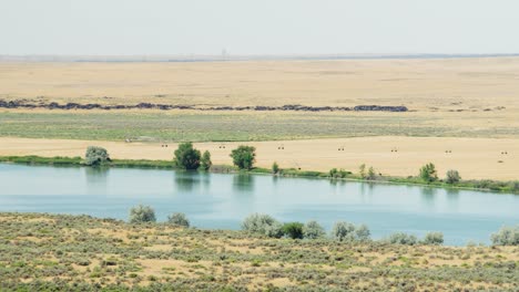 El-Poderoso-Río-Serpiente-Que-Pasa-Por-Algunos-Campos-Agrícolas-En-El-Este-De-Idaho-En-Un-Día-De-Verano-Seco-Y-Caluroso-En-4k