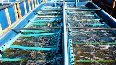 Aerated-abalone-tanks-on-commercial-aquaculture-farm,-Hermanus,-South-Africa
