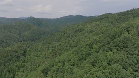 Aerial-footage-flying-over-green-trees-with-a-hazy-afternoon-sky-in-a-valley-in-between-North-Carolina-mountains