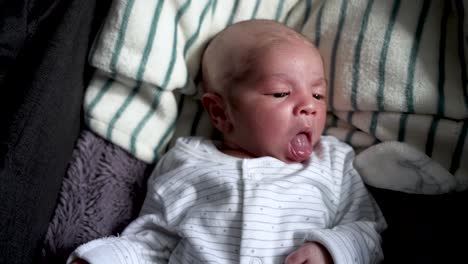 Overhead-View-Of-11-Day-Old-Baby-Boy-With-Shaved-Head-Sticking-Tongue-As-He-Lays-In-Infant-Car-Bed