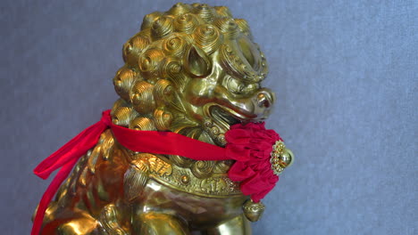 Golden-lion-Chinese-with-red-cap