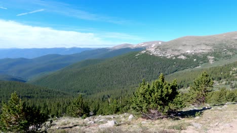 Blick-über-Die-Baumgrenze-Vom-Mt-Rosalie-Vom-Tanglewood-Trail