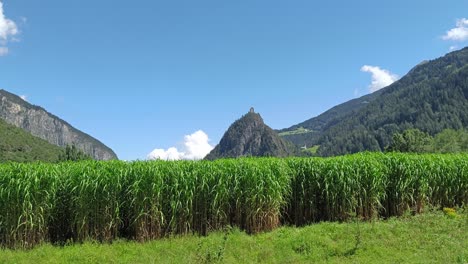 Vista-Escénica-Sobre-Tierras-Agrícolas-En-Austria-Con-Castillo-En-La-Colina-En-Segundo-Plano