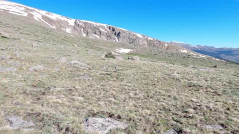 Panning-shot-of-the-subalpine-terrain-of-Mt-Rosalie