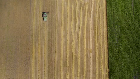 Drone-top-view-of-industrial-combine-harvester-on-golden-wheat-field-at-work-in-sun