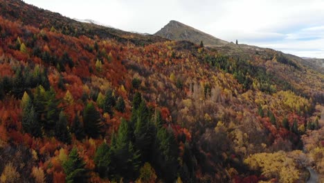 National-Forest-Herbstlaublandschaft-Und-Lebendige,-Bunte,-Wechselnde-Blätter
