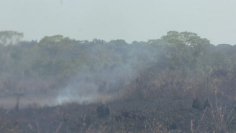 Los-Incendios-Forestales-Causados-Por-La-Deforestación-Destruyen-La-Selva-Amazónica