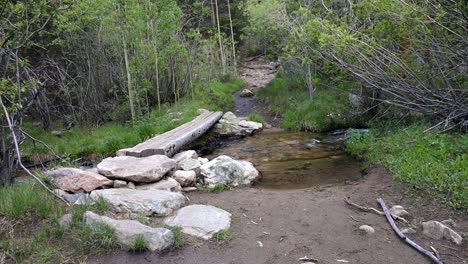 A-log-bridge-crossing-a-small-creek-on-the-Tanglewood-Trail-at-the-base-of-Mt-Rosalie