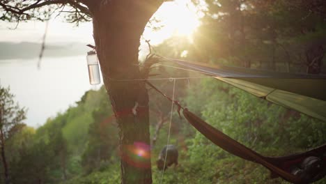 Dazzling-Sunlight-Behind-The-Tree-In-The-Mountain-Forest-With-Hammock-At-Sunrise