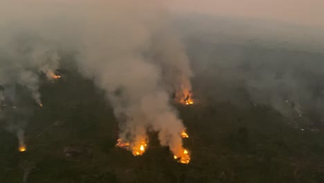 Mit-Einem-Helikopter-über-Den-Amazonas-Regenwald-Fliegen,-Während-Waldbrände-Den-Tropischen-Lebensraum-Zerstören