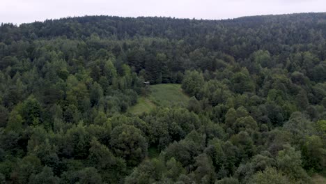 Aerial-shot-of-hunting-pulpit-in-the-middle-of-forest