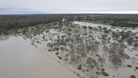 Water-spreading-onto-the-floodplains-near-Menindee-in-New-South-Wales,-Australia