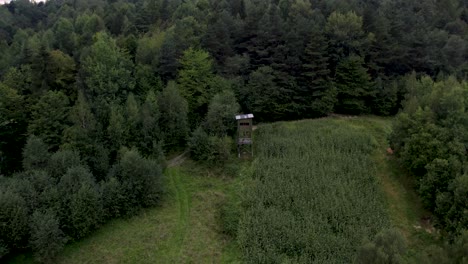 Jagdturm-Mitten-Im-Wald