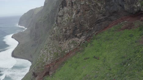 Un-Grupo-De-Turistas-Está-Caminando-Por-El-Lado-De-La-Quebrada-Do-Negro-En-Madeira