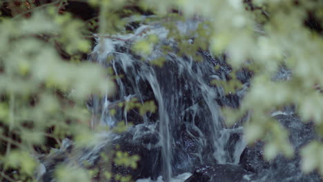 Nahaufnahme-Eines-Kleinen-Wasserfalls