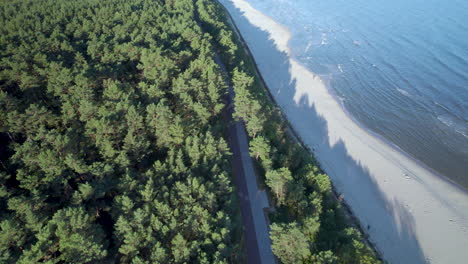 árboles-Del-Bosque-Krynica-Morska-Junto-A-La-Playa-En-El-Asador-Del-Vistula