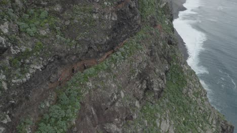 Eine-Gruppe-Von-Wanderern-Geht-Am-Rand-Des-Berges-Quebrada-Do-Negro-Auf-Madeira-Spazieren
