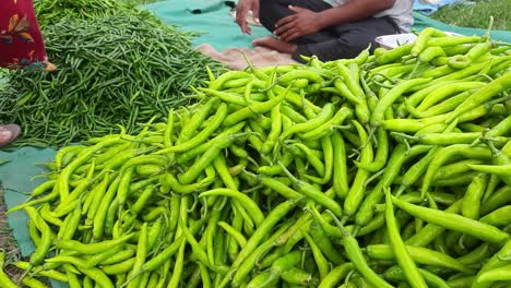 Green-chilli-peppers-in-Indian-market