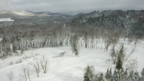 Schöne-Winterlandschaft-2