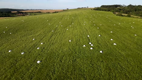 Rolled-bales-in-the-silage-field,-aerial-view