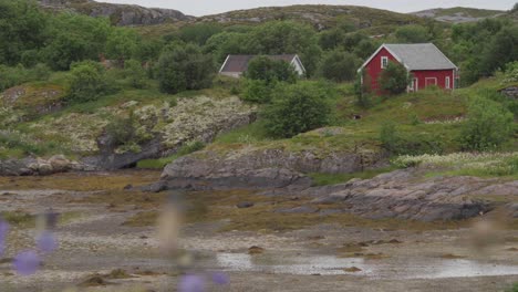 Rote-Holzhütte-Auf-Dem-Hügel,-Tagsüber-Umgeben-Von-Grünen-Bäumen-In-Helgelansdskysten,-Norwegen
