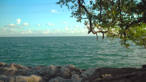 Stativ-Blaue-Meer--Und-Himmelsansicht-Mit-Felsen-Und-Grünem-Mangrovenbaum-In-Den-Florida-Keys