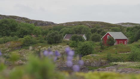 Typische-Norwegische-Hütte-Auf-Den-Hügeln-Von-Der-Wiese-In-Helgelansdskysten,-Norwegen