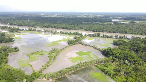 Tierras-Agrícolas-Inundadas-Junto-Al-Río-Desbordado-En-Bangladesh