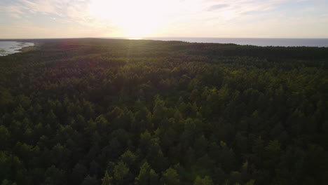 Aerial-panorama-shot-of-large-forest-woodland-and-Baltic-Sea-in-backdrop-at-golden-sunset