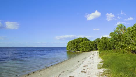 Emerson-Point,-Bradenton-Florida,-beach,-white-sand,-blue-skies,-green-trees,-mangroves